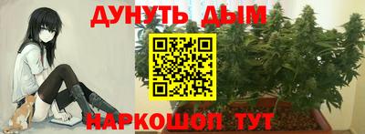 твердый Пугачёв