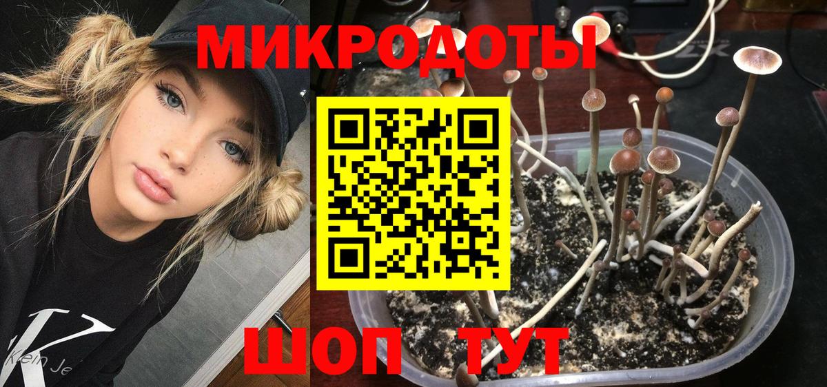 Семилуки  Галлюциногенные грибы Magic Shrooms  закладки  Вход с VPN 