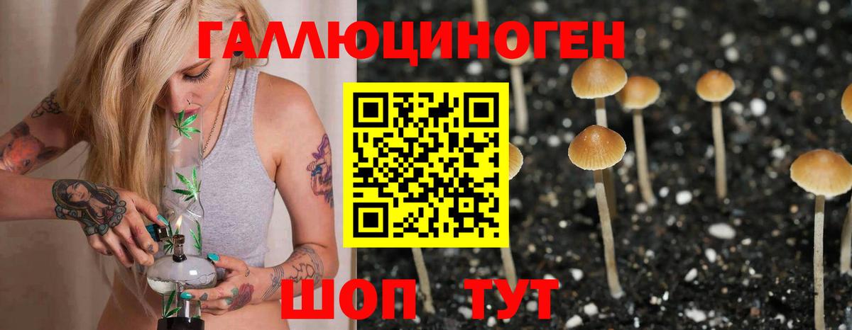 Псилоцибиновые грибы MAGIC MUSHROOMS Семилуки